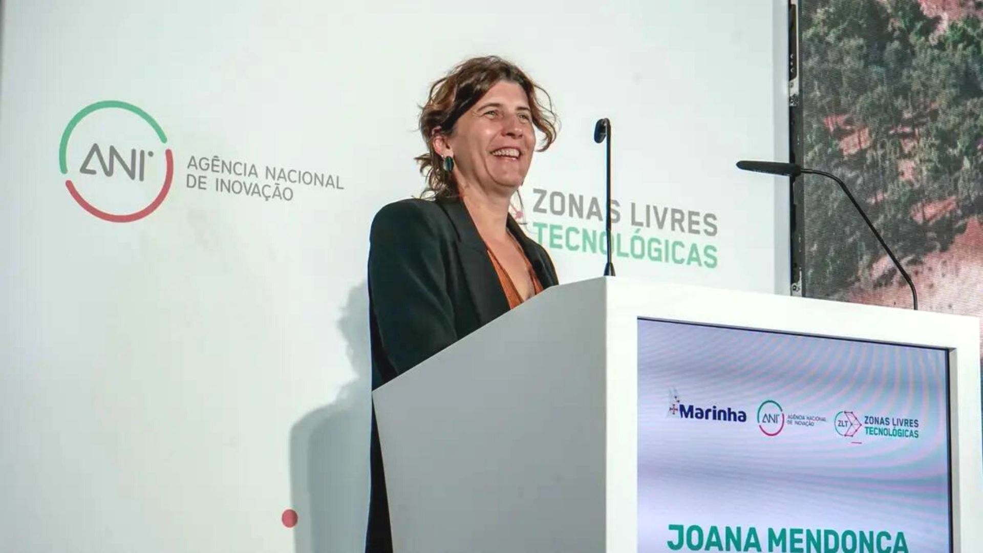 Joana Mendonça presidente ANI demissão