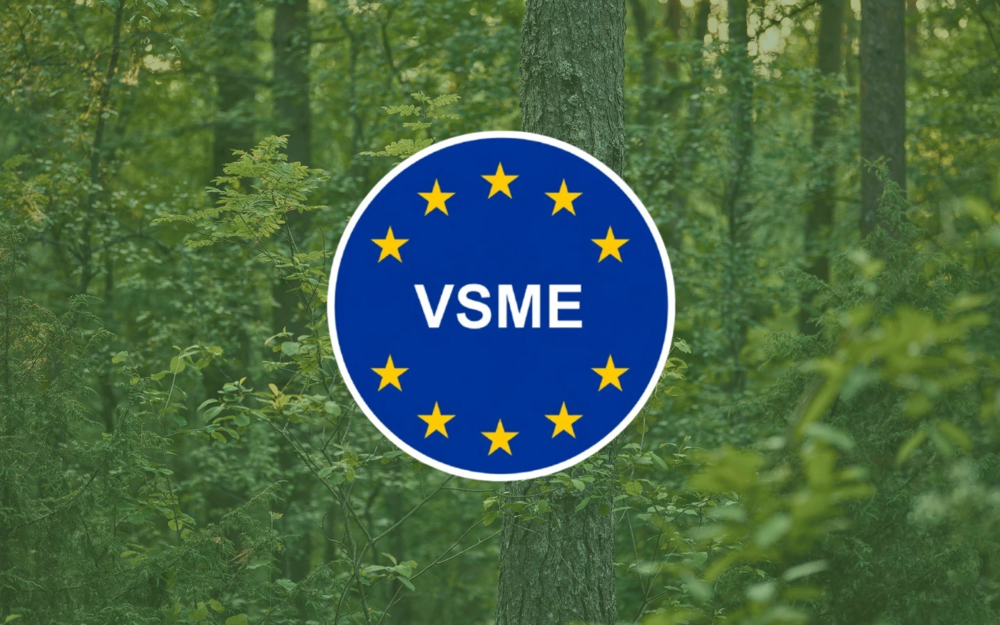 Novo vídeo UE para ajudar as PME no reporte VSME